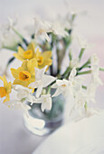 Detail eines Straußes frischer Frühlingsblumen - sortierte Narsissi in einer Glasvase