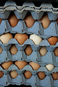 Nahaufnahme von Eiern in Kartons