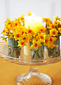 Tabletop decoration with daffodils and candle on glass cakestand