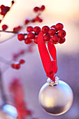 An einem Zweig hängende Silberkugel mit roten Beeren