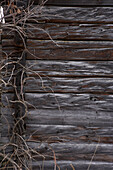 Wood clad exterior of outhouse in Zermatt, Valais, Switzerland