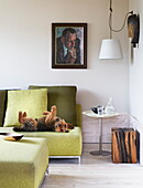 Hund auf lindgrünem Sofa mit Kissen und Kunstwerken in einem modernen Haus in London, England, UK