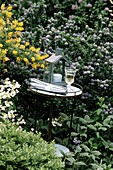 Garden table among blossom bush