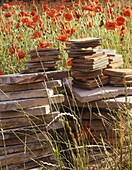 Ceramic tiles in stack among poppies in meadow