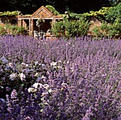 Stühle in einem gemauerten Gartenhaus und einem Lavendelfeld