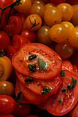 Various tomatoes