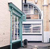 The Sea Chest shop front in Bideford with dog