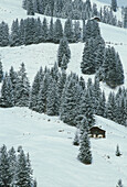Verschneite Landschaft in alpiner Lage