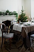 Ice cooler on chair in dining room with Christmas tree and decorations