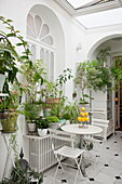 Table with folding chairs and houseplants in conservatory of Bordeaux apartment building,  Aquitaine,  France