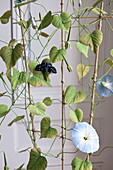 Künstliche blühende Pflanze mit Schmetterling in einem Wohnhaus in Bordeaux, Aquitanien, Frankreich