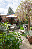 Metal furniture and parasol with budding tree in walled garden of Suffolk home  England  UK