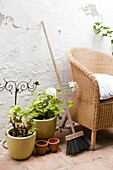 Korbsessel und Besen mit Topfpflanzen im Innenhof von Castro Marim, Portugal