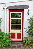 Rote und gelbe verglaste Eingangstür eines weiß getünchten Cottage in Devon, England, UK