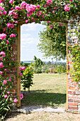 Rosafarbene Kletterrosen über dem Tor des ummauerten Gartens in Petworth, West Sussex, Kent