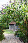 Gravel path and garden shed in Petworth West Sussex Kent