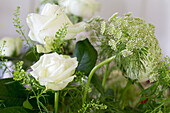 White roses in Rectory house Cornwall UK