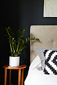 Houseplant on wooden bedside table in Sheffield home  Yorkshire  UK