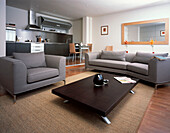 Kleine Wohnung mit Küche, Esszimmer und Wohnbereich in neutralen Grautönen