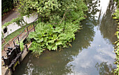 Elevated view of decked terrace beside water in grounds of watermill