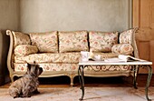 Large Louis XVI style daybed with original silk upholstery in sitting room with Cairn Terrier