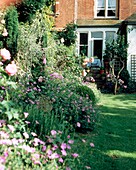 Rear domestic lawned garden with flowerbeds and steps leading to back door