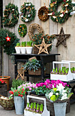 Garten mit Weihnachtskränzen und Blumen