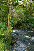 Fluss fließt durch die Landschaft von Devon
