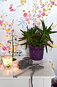 Cactus and knitting with lit candle on painted side table in Odense