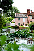 Plants grow in pond with pink painted exterior of rural Suffolk home England UK