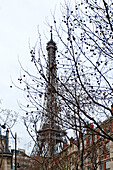 Low angle view of Eiffel Tower in winter, Paris, France