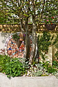 Lanterns hang in branches of tree in garden of Bovey Tracey, Devon, England, UK