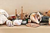 Verschiedene Muscheln und ein Modellboot auf einem Regal in einem Bauernhaus in Suffolk, England, Vereinigtes Königreich