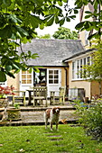 Hund steht im Garten eines Hauses in Essex/Suffolk, England, Vereinigtes Königreich