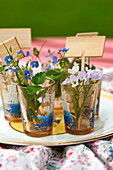 Wildflowers and Forget-me-not (Myosotis) in glasses on plate in Brecon, Powys, Wales, UK