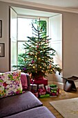 Weihnachtsgeschenke unter dem Baum im Fenster des Hauses einer Familie in Penzance Cornwall England UK