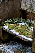Beleuchtete Teelichter und moosbewachsene Holzbank in einem Londoner Garten England UK