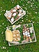 Easter eggs in wooden crates Sussex garden England UK