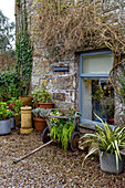 Gartenkarre auf Kiesweg mit Kübelpflanzen vor dem Fenster eines Hauses in Penzance, Cornwall, UK