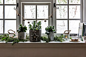 Evergreen foliage and candles on windowsill in St Erth cottage at Christmas Cornwall UK