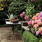 Bank mit Tisch und bunten Hortensien im Garten
