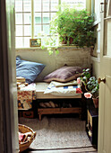 Sunny conservatory with houseplants and daybed