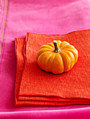 Gelber Kürbis auf orangefarbener Serviette mit rosa Stoff
