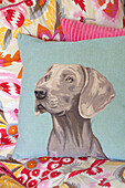 Cushion with dogs head on floral sofa in London townhouse, England, UK