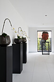 Oriental themed London home with white orchids in black pots on plinths and Asian Head on a stand by window  England  UK