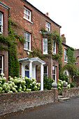 Kletterpflanzen an der Backsteinfassade eines Hauses in Arundel, West Sussex, England UK