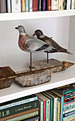 Bird figurines and books on Arundel shelving West Sussex England UK