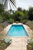 Sunloungers and lavender at poolside in Var Provence France