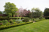 Blühender Baum und Blumenbeete im Garten eines unter Denkmalschutz stehenden georgianischen Landhauses Shropshire England UK