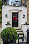 Topiary in front garden of London townhouse UK
